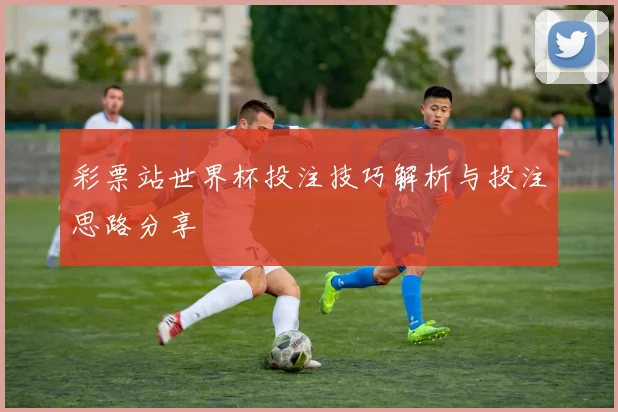 彩票站世界杯投注技巧解析与投注思路分享