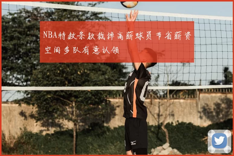 NBA特赦条款裁掉高薪球员节省薪资空间多队有意认领