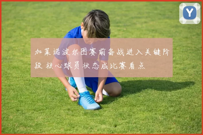 加莱诺波尔图赛前备战进入关键阶段 核心球员状态成比赛看点