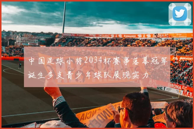 中国足球小将2034杯赛事落幕冠军诞生多支青少年球队展现实力