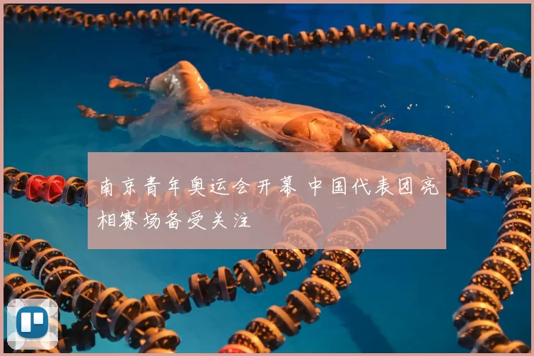 南京青年奥运会开幕 中国代表团亮相赛场备受关注